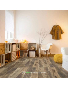 Araucaria 20x80 R 2